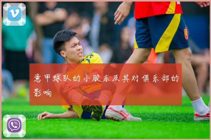 意甲球队的小股东及其对俱乐部的影响