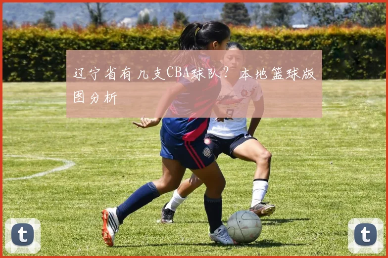 辽宁省有几支CBA球队？本地篮球版图分析