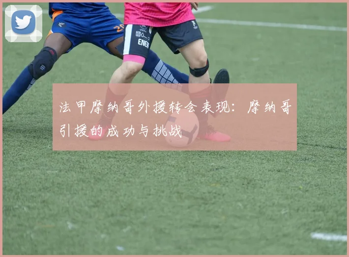 法甲摩纳哥外援转会表现:摩纳哥引援的成功与挑战