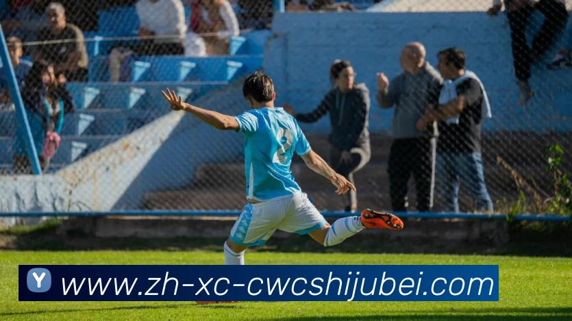 世界杯买球平台生态图