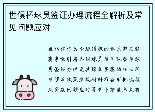世俱杯球员签证办理流程全解析及常见问题应对