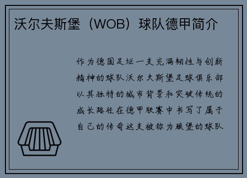 沃尔夫斯堡（WOB）球队德甲简介